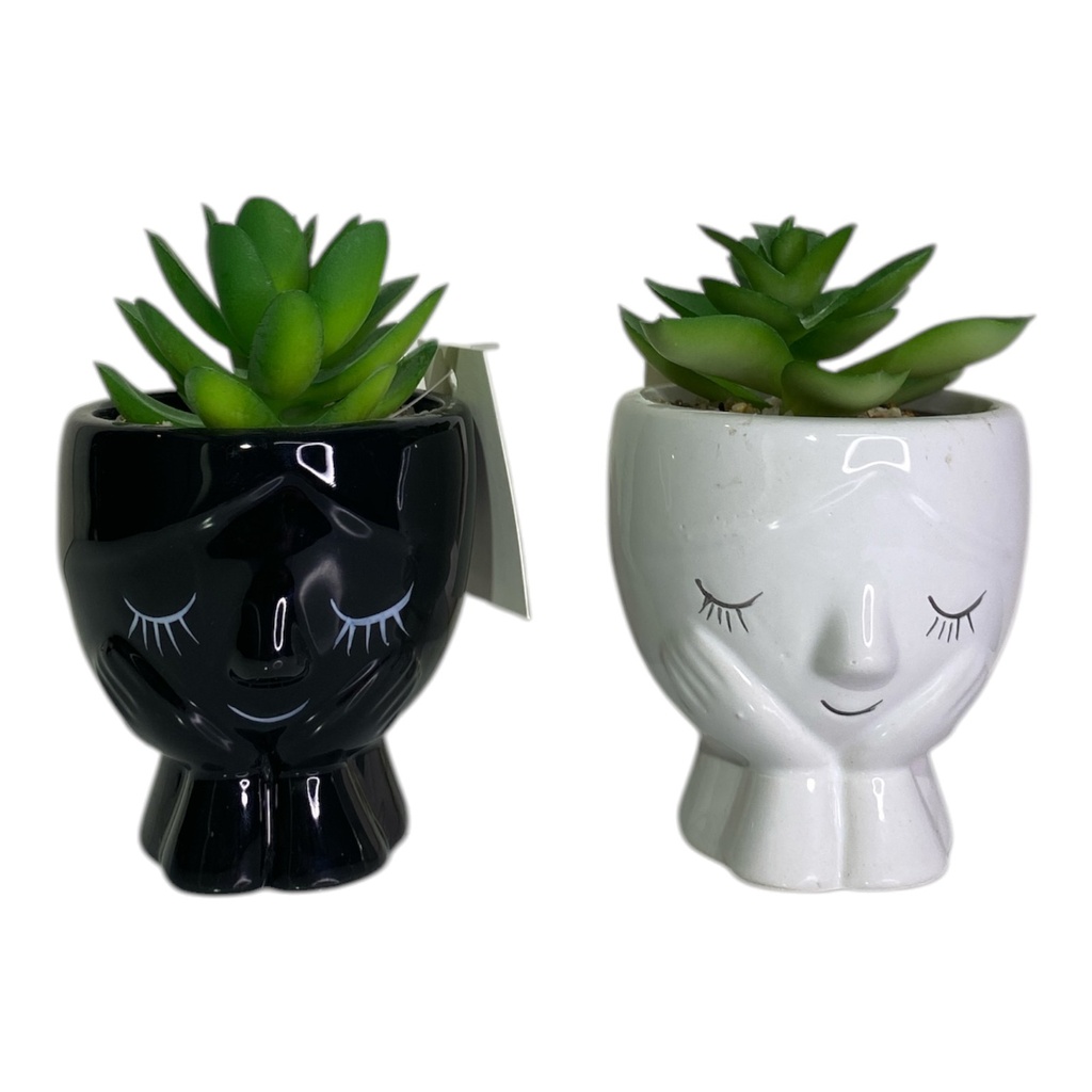 ES22738 MACETA ROSTRO CON SUCULENTA 7X7X11CM
