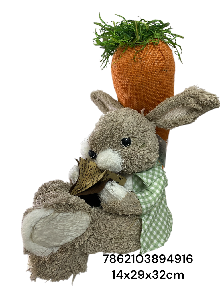CONEJO CON LIBRO Y ZANAHORIA 14X29X32CM 23MDS3