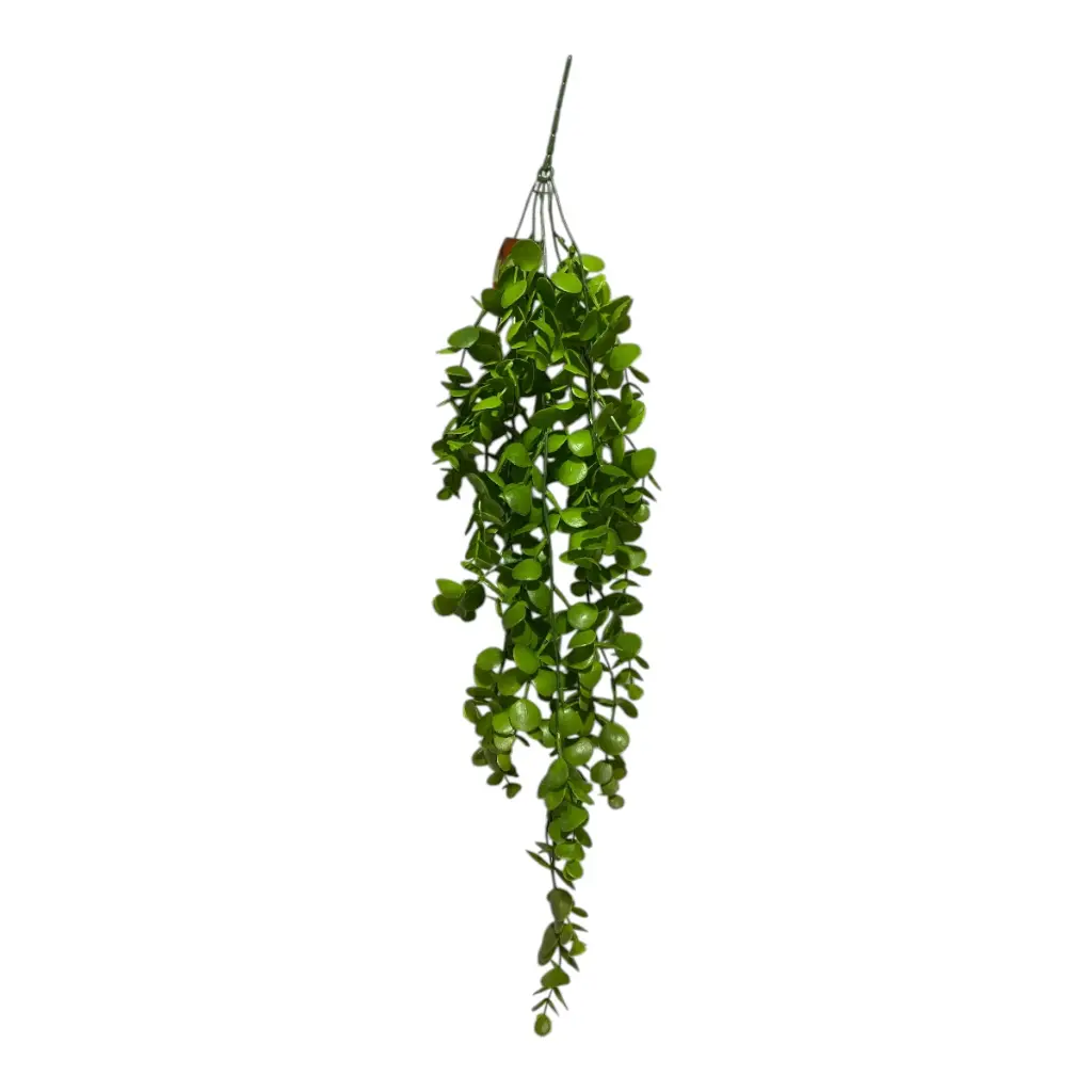 RAMA EUCALIPTO COLGANTE DISCH 75CM