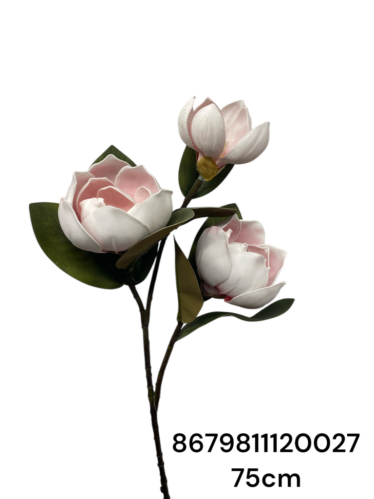 RAMA MAGNOLIA 75CM