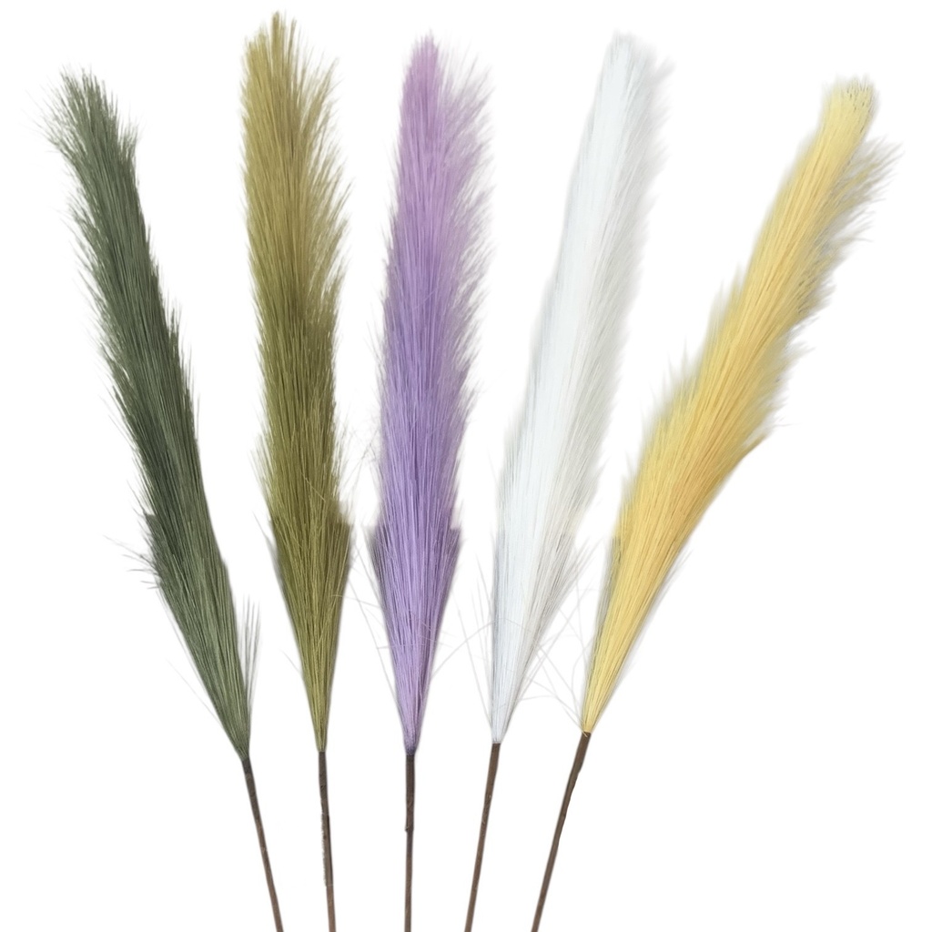 PAMPAS 70CM