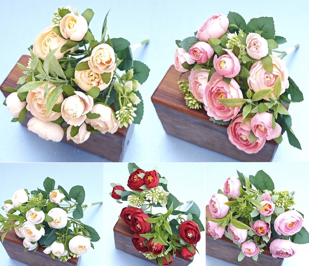CAMELIA AUSTIN 30CM