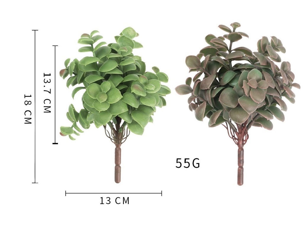 SUCULENTA ARBOLITA 18CM