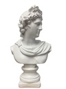 FI-2025-1119 BUSTO DAVID POLIRESINA 20X11X30CM