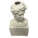 BUSTO DAVID FLORERO POLIRESINA 19.5X11X38CM