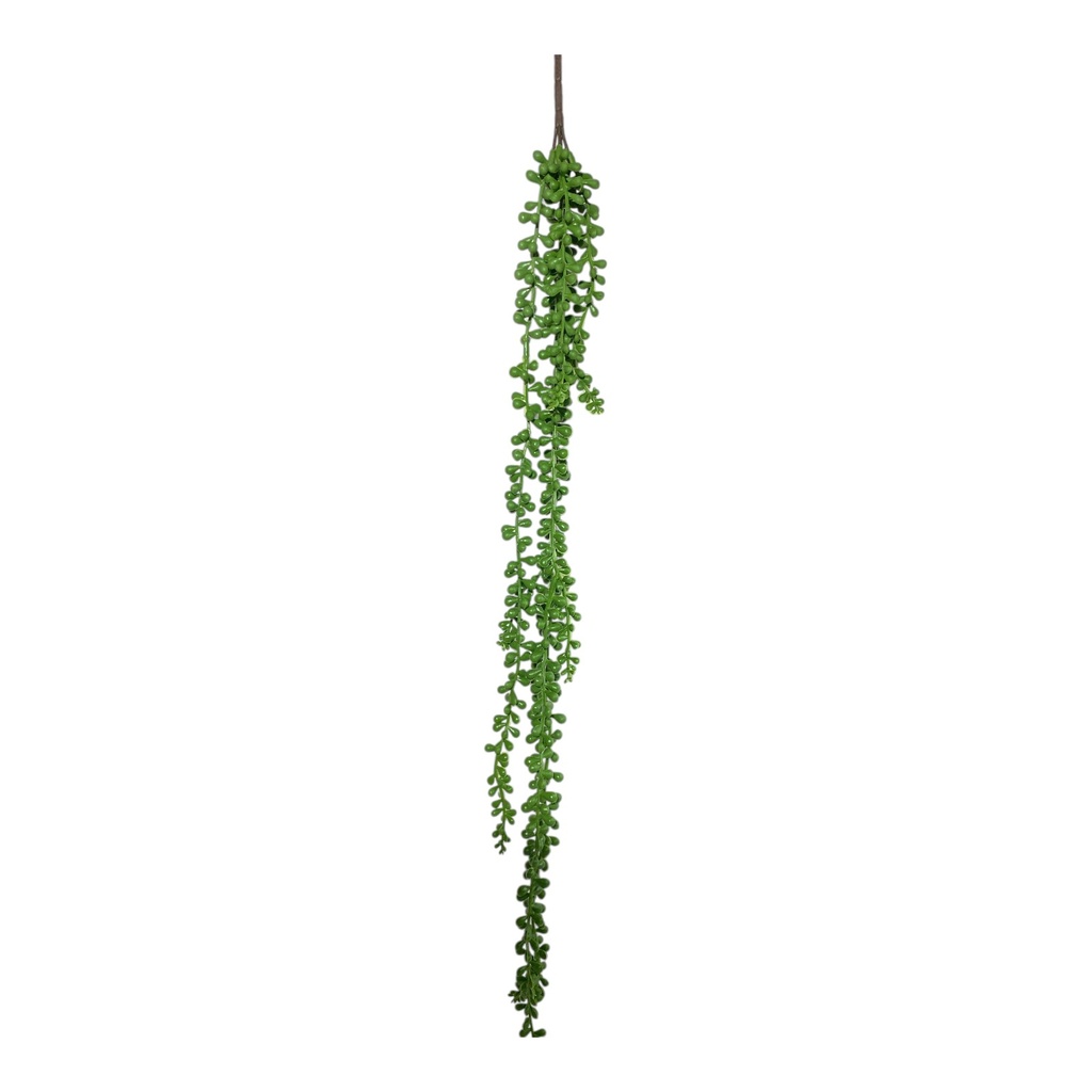 PLANTA SUCULENTA CACTUS COLGANTE 70CM