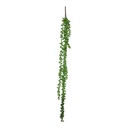 PLANTA SUCULENTA CACTUS COLGANTE 70CM