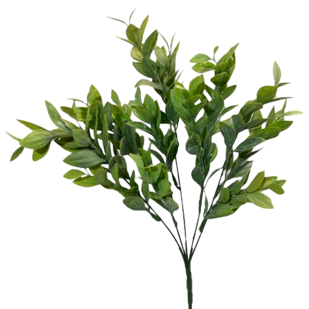 FOLLAJE DE RUSCO O BUXUS SEMPERVIRENS, RELLENO DE 36CM