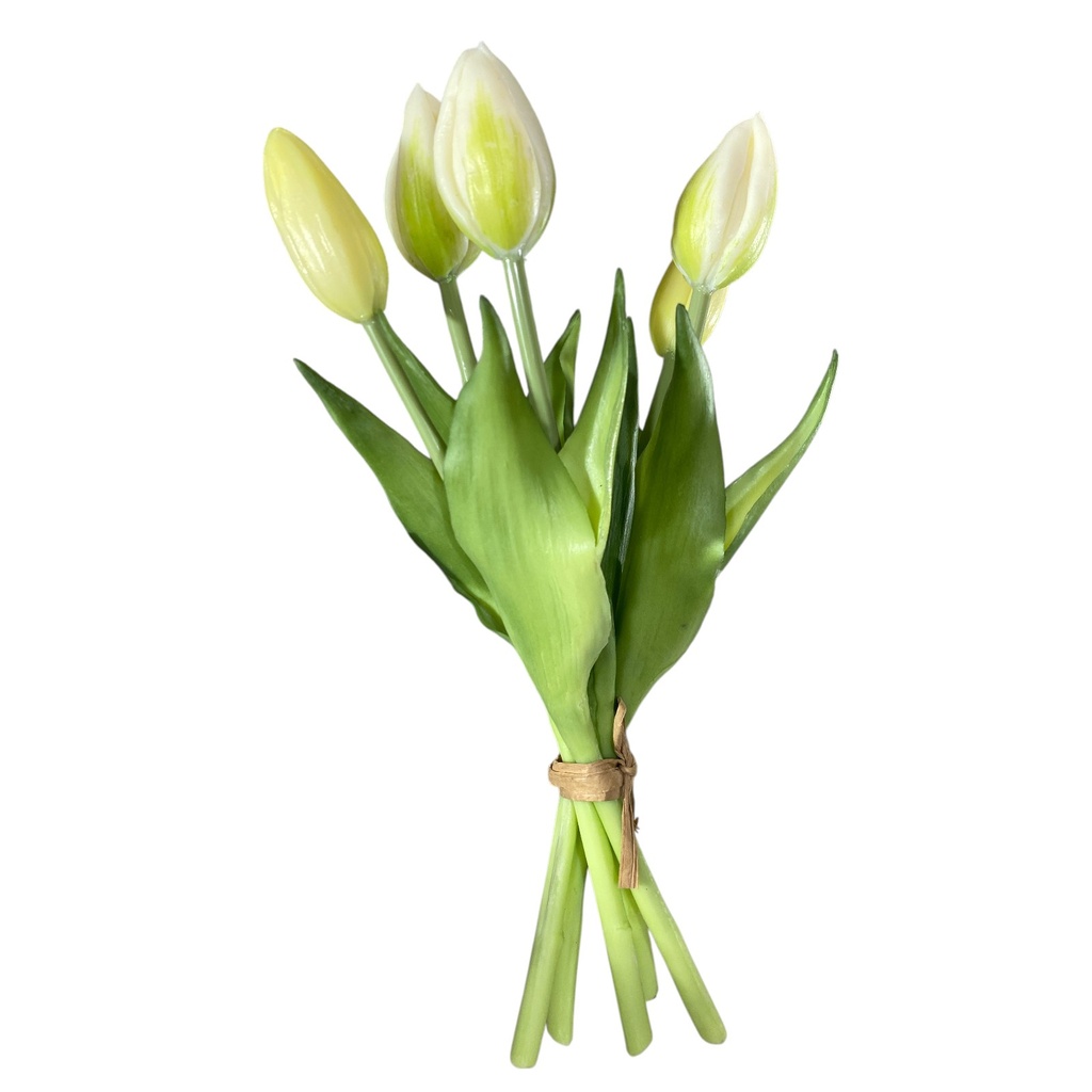 RAMO TULIPANES 5, BLANCOS SILICON               REF: CH12541060  24CM