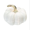 CALABAZA DE PORCELANA 15X15X12CM