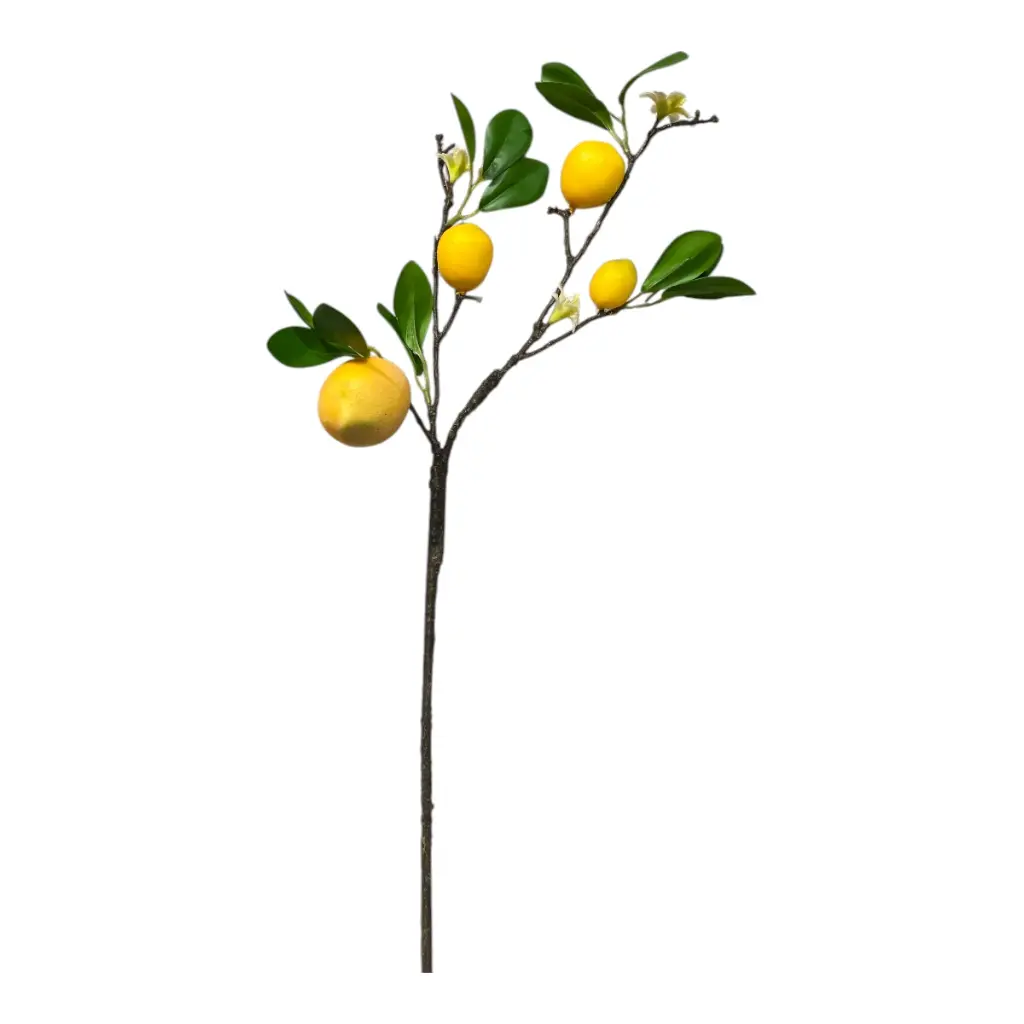RAMA LIMON 60CM