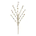 RAMA PERLAS CHAMPAGNE 80CM