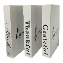 SET DE 3 LIBROS DECORATIVOS BLANCOS 17X27X4.5CM 