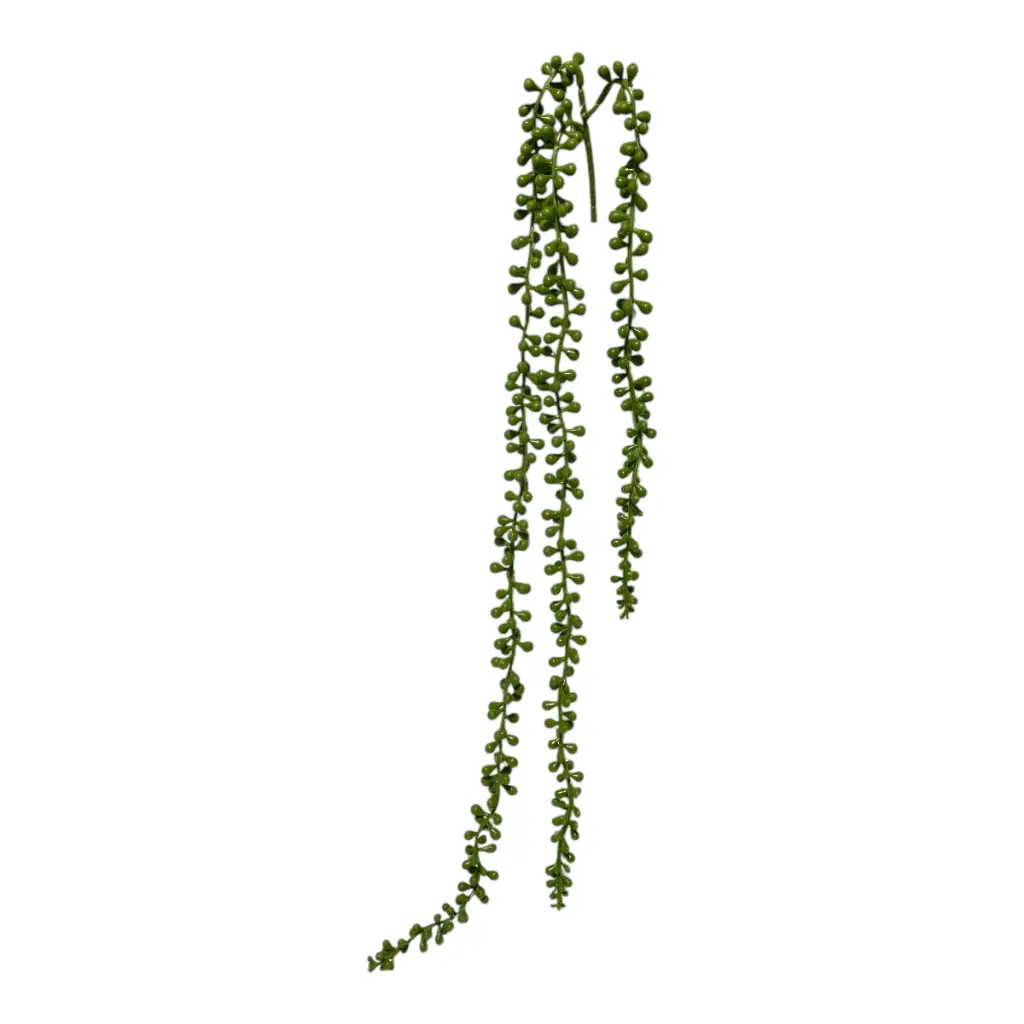 SUCULENTA COLGANTE 60CM