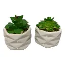 SUCULENTA ARTF. EN MACETA CERAMICA REF:ES22756 6X10CM   