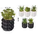 SUCULENTA ARTF. EN MACETA CERAMICA REF:ES22759 8X15CM  