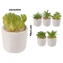 SUCULENTA ARTF. EN MACETA CERAMICA REF:ES22770 8X13CM 