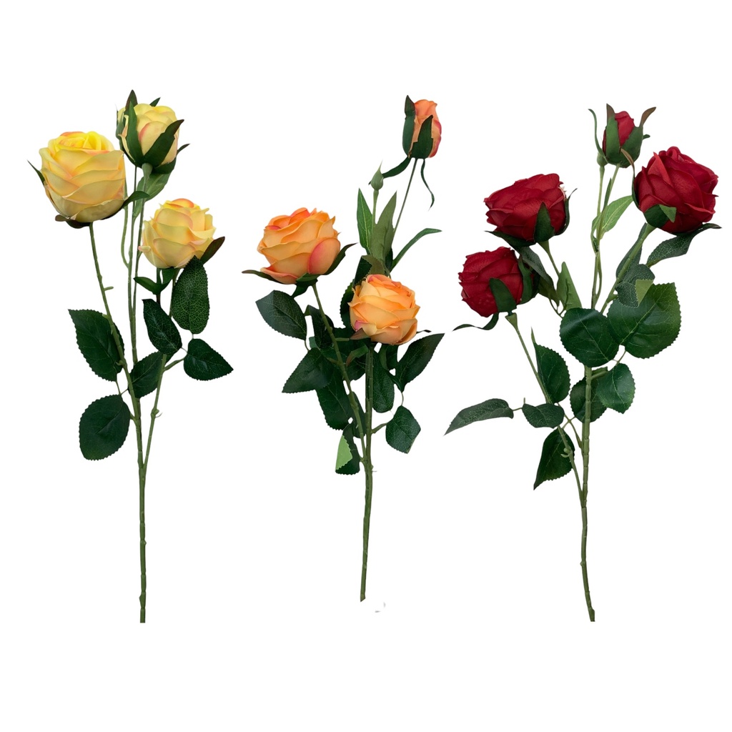 ROSA 64CM