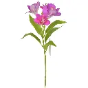 AZAFRAN LATEX PURPURA REF:CH15240552 42CM