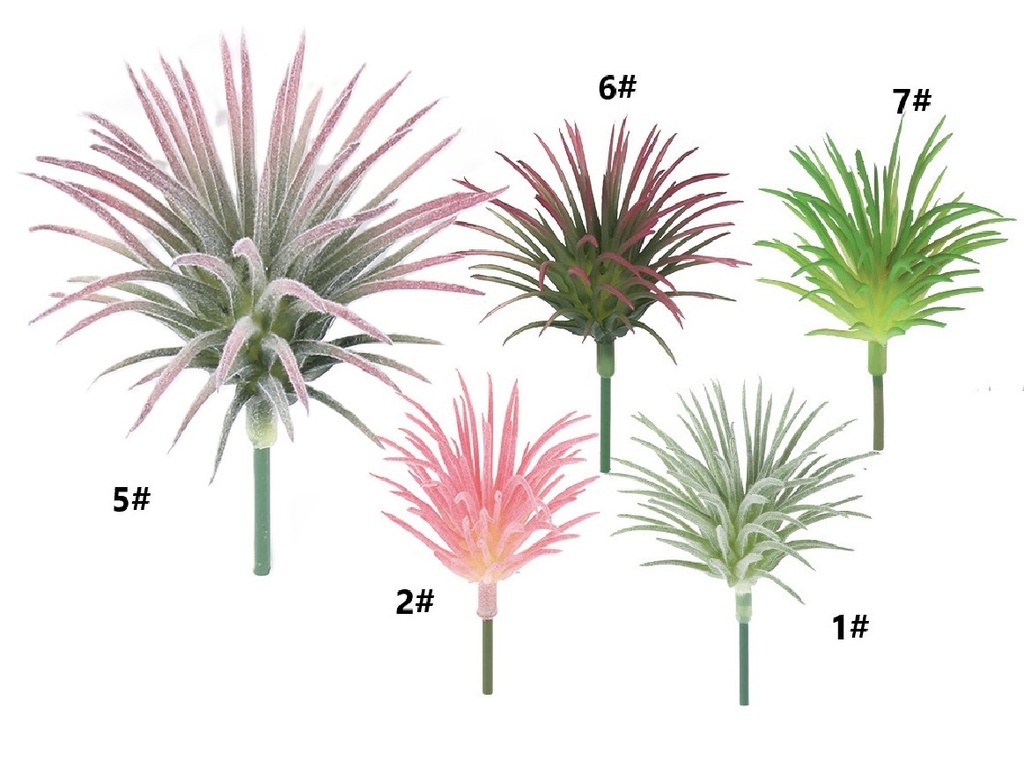 SUCULENTA 8CM