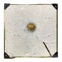 CUADRO LIENZO OLEO MARGARITA MARCO DORADO 80X80CM