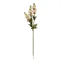 FLOR DELPHINIUM COLOR MELON 95CM
