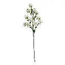 FLOR DAPHNE BLANCA 95CM 