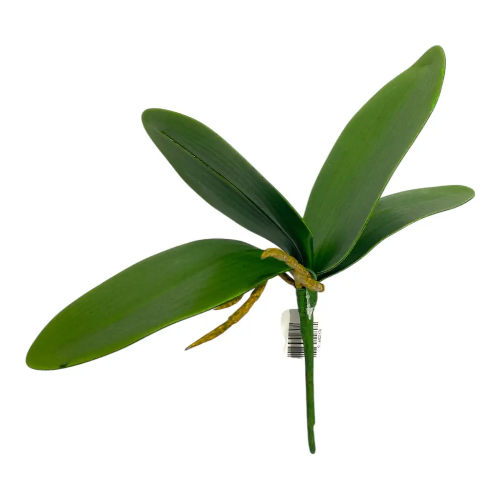 HOJA DE ORQUIDEA PEQUEÑA 25X8CM