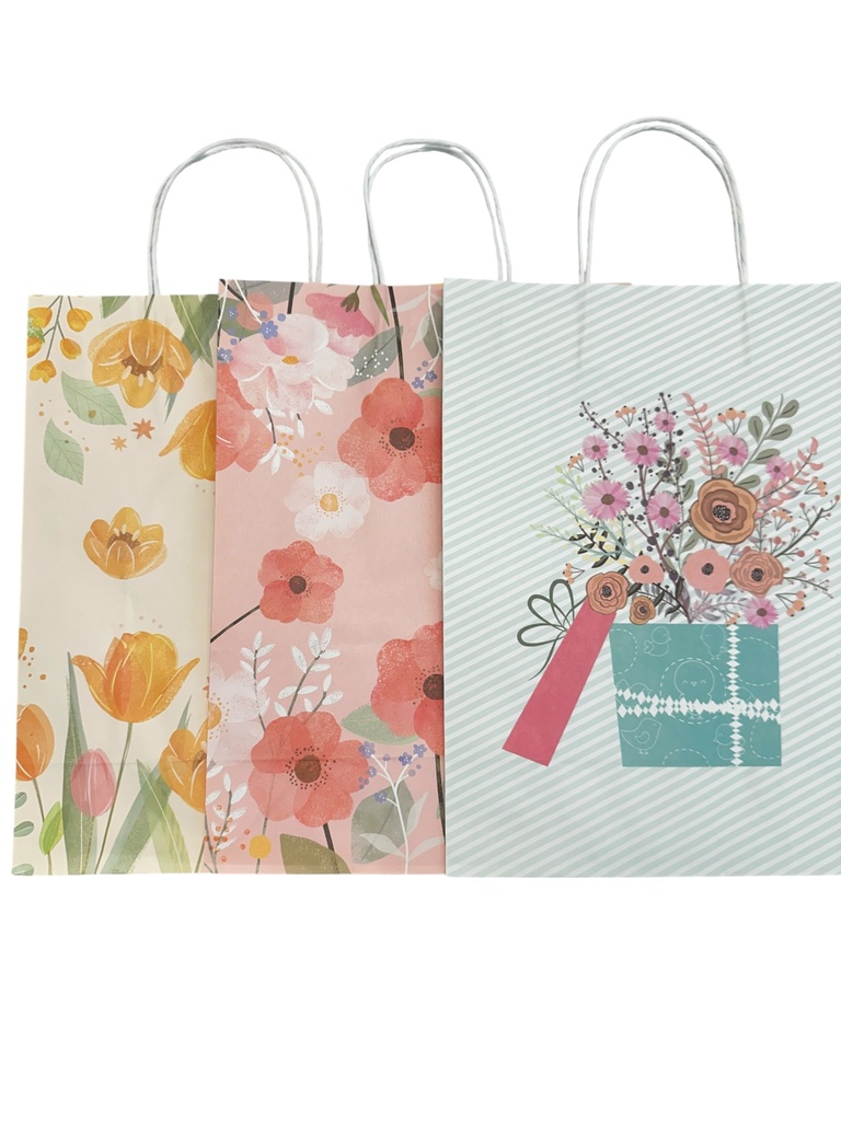 FUNDA DE REGALO 26X33X12CM