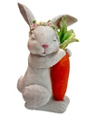 CONEJO CON ZANAHORIA 14X25CM