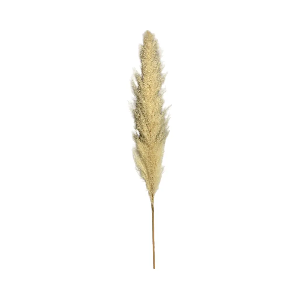 PAMPAS ARTF. 90CM 