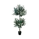 PLANTA DE OLIVO 70X160CM CON MACETA 