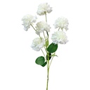 Rama Peonia Artf. 85CM