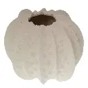 FLORERO CERAMICA BLANCO/BEIGE REF:HM1733/GDZ23X360 19X15CM 