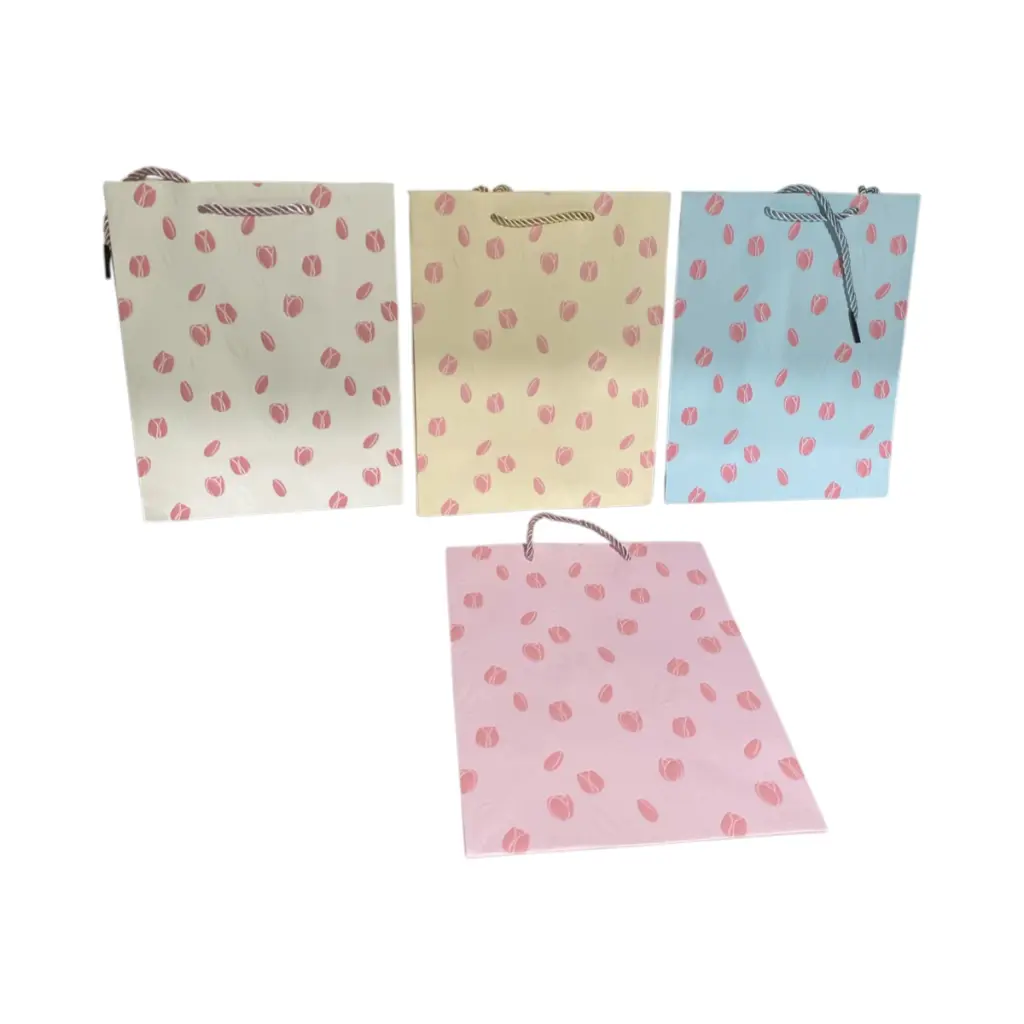 Funda de Regalo surtido Ref:ES30179/YXL-1840S 18x10x23cm 