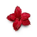 Flor Navideña Terciopelo Roja Ø 33cm