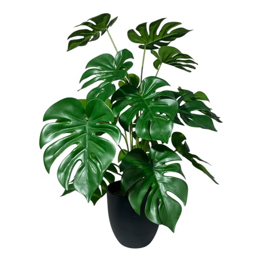 [1702335017652] 10923023 ART. ARTIFICIAL/ PLANTA HOJA DE TORTUGA X1