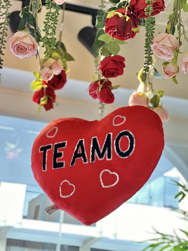 [640549024] ALMOHADA CORAZON PELUCHE