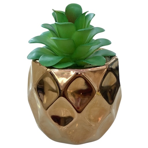[21066] CACTUS CON  MACETERO BRONCE 10X16CM