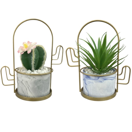 [8679811116570] SUCULENTA EN MACETA CON BASE DORADA 18CM