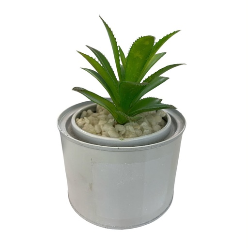 [513774039] CACTUS EN POTE BLANCO 10X7.5CM.