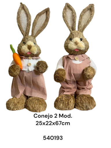 [8679833540193] CONEJO PASCUA 2MOD. 25X22X67CM