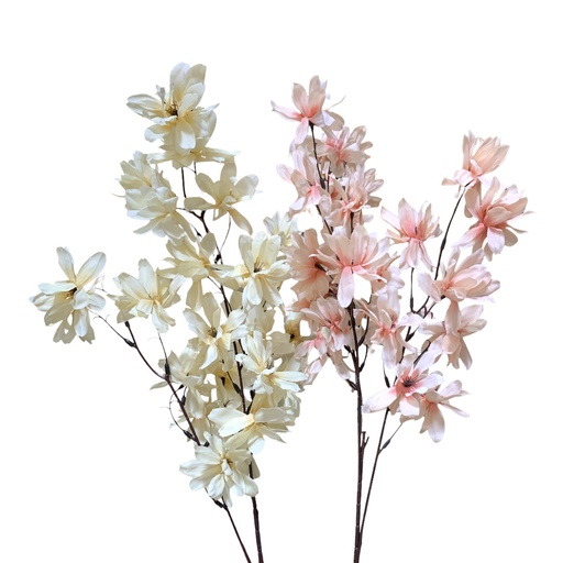 [MY138] CYMBIDIUM 92CM 28FLORES DE 7CM