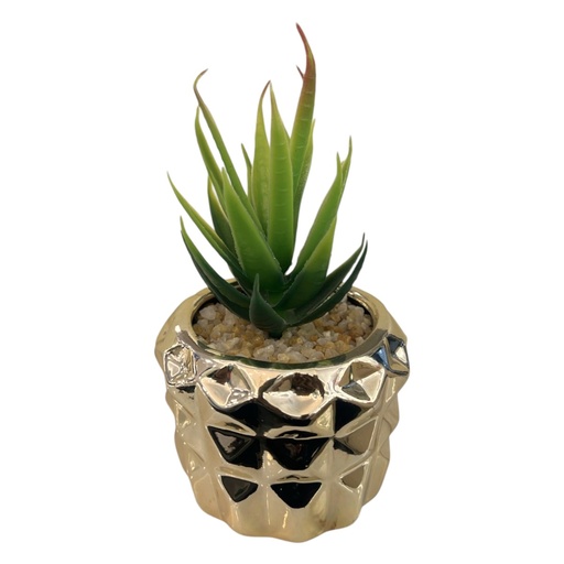 [23040202364] CACTUS MACETA FI-202364