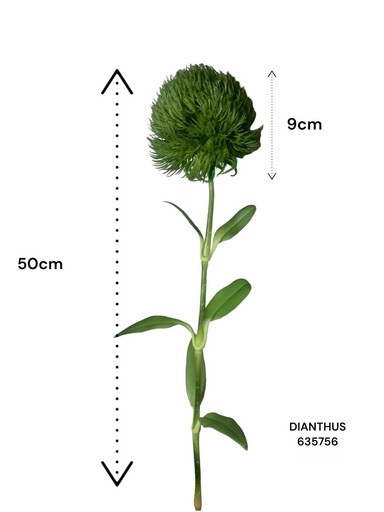 [635756] FLOR ARTIFICIAL DIANTHUS VERDE REF:CH12518757 50CM