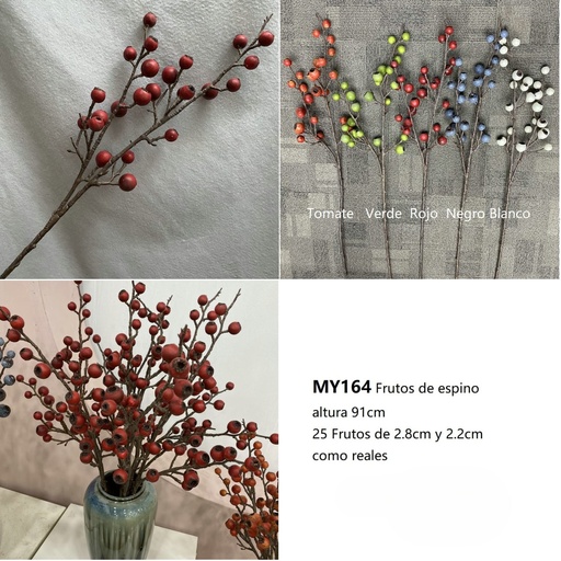 [MY164] FRUTOS DE  ESPINO 90CM
