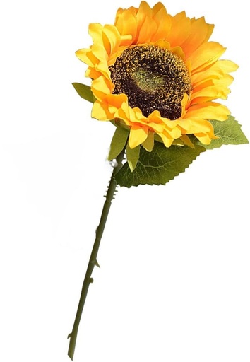 [RQ200] GIRASOL 33CM X13CM POR UNIDAD