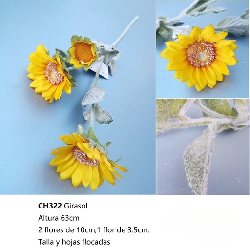[CH322] GIRASOL X3 9CMX63CM
