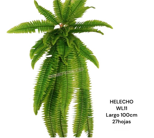 [WL11] HELECHO LARGO 100CM 27HOJAS