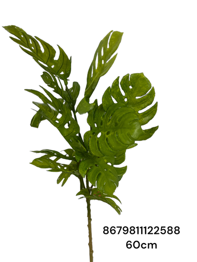 [8679811122588] HOJA DE TORTUGA